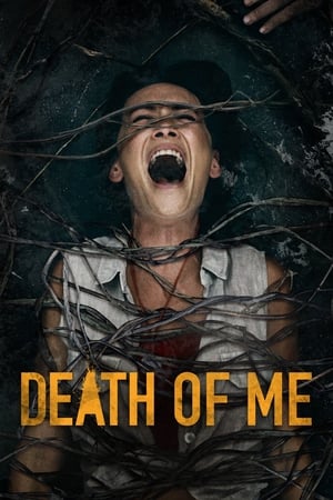 Death of Me (2020) Hindi Dual Audio HDRip 300MB
