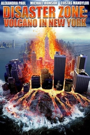 Disaster Zone Volcano in New York 2006 Hindi Dual Audio HDRip [860MB]