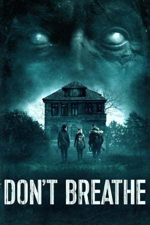 Don't Breathe (2016) Hindi Dual Audio BluRay [850MB]