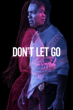 Don’t Let Go (2019) Hindi Dual Audio HDRip [890MB]
