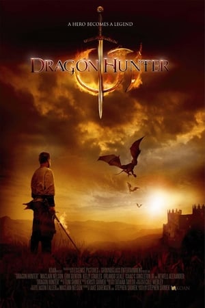 Dragon Hunter (2009) Hindi Dual Audio BluRay 300MB