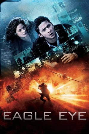 Eagle Eye (2008) Hindi Dual Audio BluRay 330MB ESubs