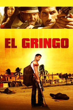 El Gringo (2012) Hindi Dual Audio HDRip 300MB