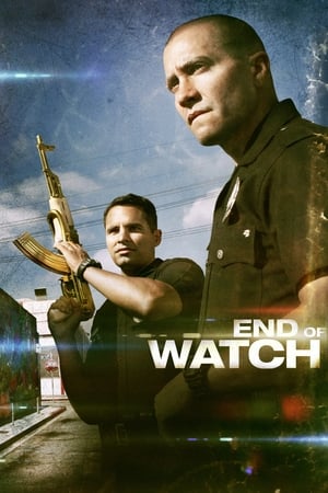 End of Watch (2012) Hindi Dual Audio BluRay [740MB]