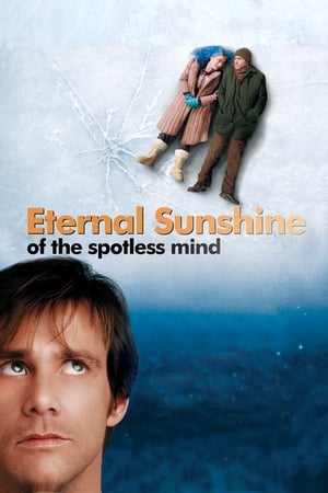 Eternal Sunshine Of The Spotless Mind 2004 Hindi Dual Audio BluRay [780MB]
