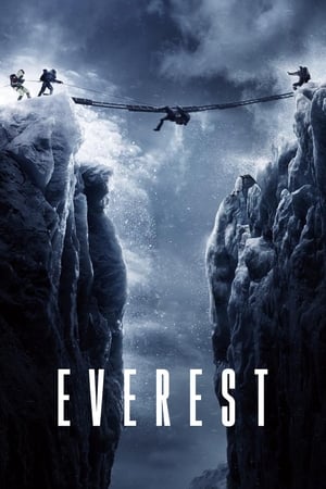 Everest (2015) Hindi Dual Audio BluRay [1.3GB]