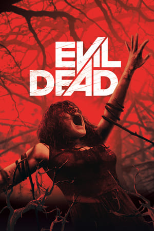 Evil Dead 2013 Hindi Dual Audio BluRay 300MB