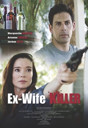Ex-Wife Killer (2017) Hindi Dual Audio WebRip 300MB