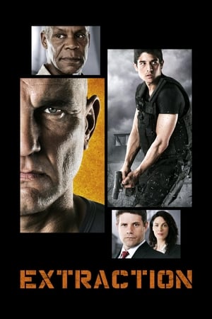 Extraction 2013 Hindi Dual Audio WebRip [1.4GB]