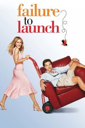 Failure to Launch 2006 Hindi Dual Audio BluRay 300MB