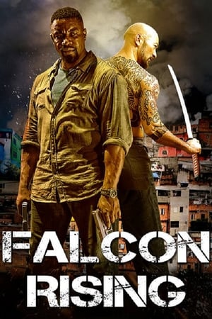 Falcon Rising (2014) Hindi Dual Audio BluRay [980MB]