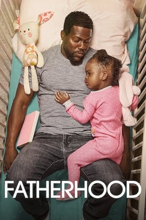 Fatherhood (2021) Hindi Dual Audio WebRip 350MB