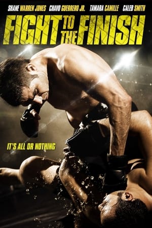 Fight To The Finish (2016) Hindi Dual Audio x264 With ESubs
