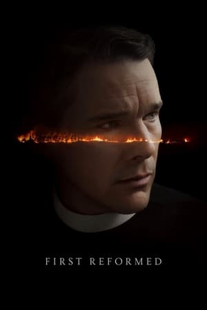 First Reformed 2017 Hindi Dual Audio BluRay 350MB