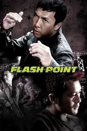 Flash Point (2007) Hindi Dual Audio BluRay [1GB]