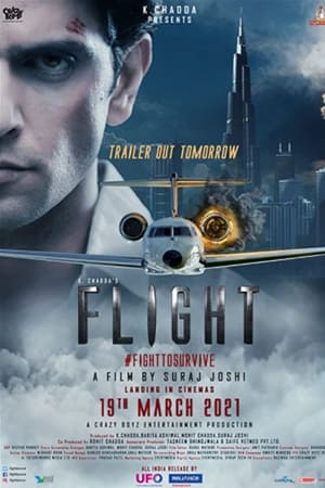 Flight 2021 Hindi Movie HDRip x264 [860MB]