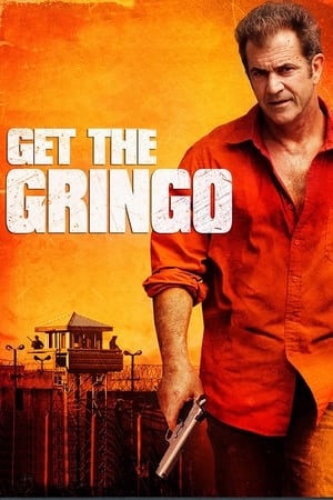Get the Gringo (2012) Hindi Dual Audio BluRay [850MB]