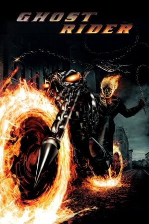 Ghost Rider (2007) Hindi Dual Audio BluRay 400MB
