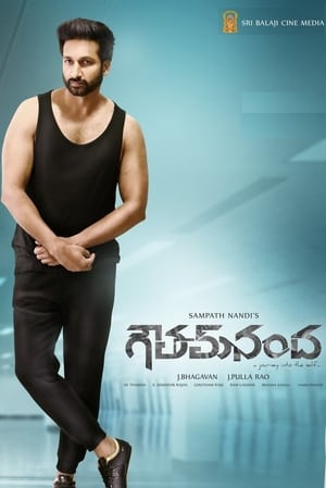 Goutham Nanda (2017) (Hindi – Telugu) Dual Audio UnCut HDRip – 480p