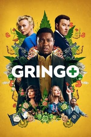 Gringo (2018) Hindi Dual Audio BluRay 400MB