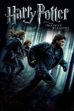 Harry Potter and the Deathly Hallows 2010 – Part 1 Hindi Dubbed Bluray [1.0GB] Download