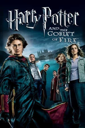 Harry Potter and the Goblet of Fire 2005 Hindi Dual Audio WEB-DL