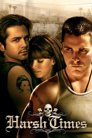 Harsh Times 2005 Hindi Dual Audio HDRip – 480p