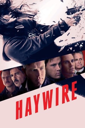Haywire (2011) Hindi Dual Audio BluRay [700MB]