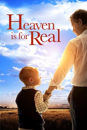 Heaven Is for Real (2014) Hindi Dual Audio BluRay [850MB] ESubs