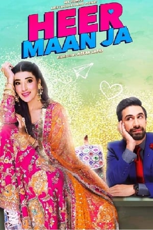 Heer Maan Ja (2019) Urdu Movie HDRip x264 [1.1GB]