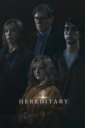 Hereditary 2018 Hindi Dual Audio HDRip – 480p
