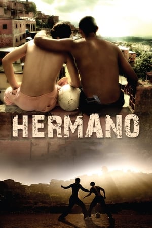Hermano 2010 Hindi Dual Audio BluRay [1.2GB]