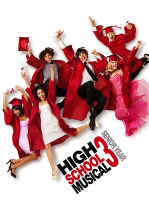 High School Musical 3 (2008) Hindi Dual Audio BluRay 350MB