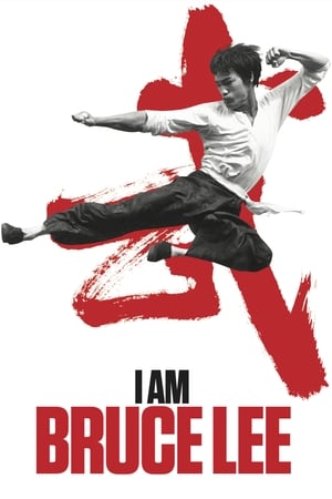 I Am Bruce Lee 2012 Hindi Dual Audio Bluray [850MB] Download