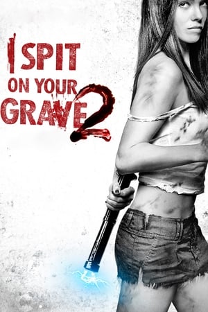 I Spit on Your Grave 2 (2013) Hindi Dual Audio HDRip – 480p