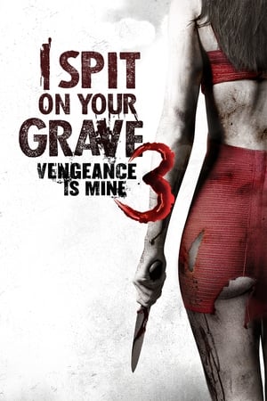I Spit on Your Grave: Vengeance Is Mine (2015) Hindi Dual Audio HDRip – 480p