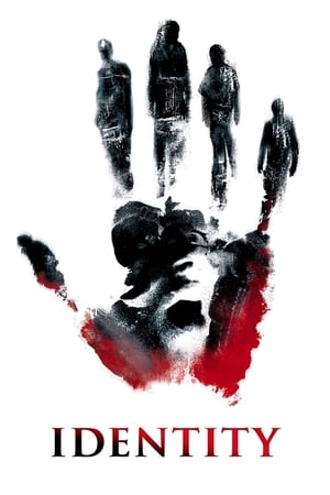 Identity 2003 Hindi Dual Audio BluRay [700MB]