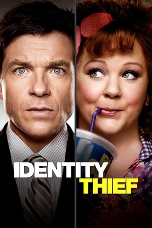 Identity Thief (2013) Hindi Dual Audio BluRay 350MB