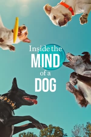 Inside the Mind of a Dog 2024 Hindi Dual Audio HDRip – 720p – 480p
