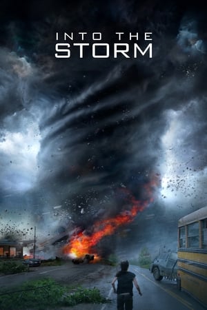Into the Storm (2014) Hindi Dual Audio BluRay [1GB]