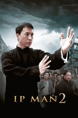 Ip Man 2 (2010) Hindi Dual Audio BluRay 350MB