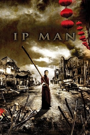Ip Man (2008) Hindi Dual Audio BluRay 350MB