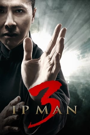 Ip Man 3 (2015) Hindi Dual Audio HDRip [900MB]