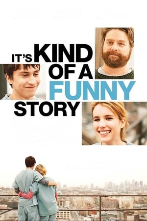 It's Kind of a Funny Story (2010) Hindi Dual Audio BluRay [950MB] ESubs