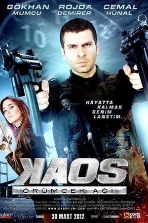 Kaos: Örümcek Agi (2012) Hindi Dual Audio HDRip – 480p