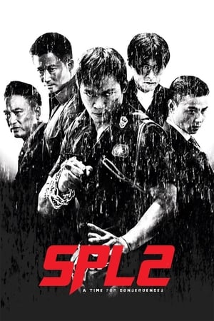 Kill Zone 2 (2015) Hindi Dual Audio BluRay [1.5GB] ESubs