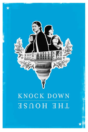 Knock Down the House (2019) Hindi Dual Audio Web-DL 300MB