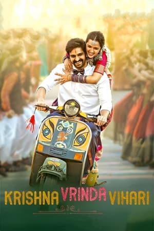 Krishna Vrinda Vihari (2022) (Hindi – Telugu) Dual Audio UnCut HDRip – 480p