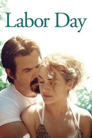Labor Day (2013) Hindi Dual Audio HDRip – 480p