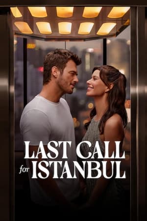 Last Call for Istanbul 2023 Hindi Dual Audio HDRip – 480p